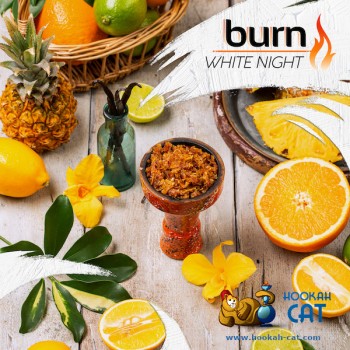 Заказать кальянный табак Burn White Night (Берн Белая Ночь) 100г онлайн с доставкой всей России